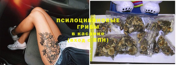 дмт Алексеевка