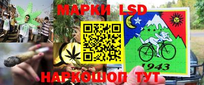 молекула духа Малоярославец