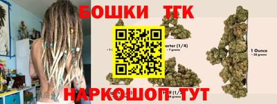 гидра Малгобек