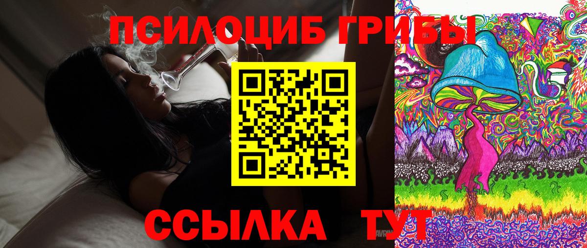 Якутск  Галлюциногенные грибы мицелий  Вход с VPN  Псилоцибиновые грибы GOLDEN TEACHER 