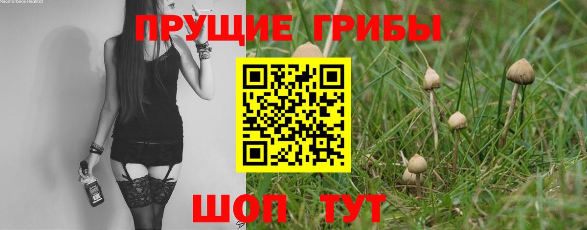 Галлюциногенные грибы Cubensis Якутск